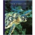 Sea Turtles