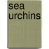 Sea Urchins