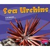 Sea Urchins door Jody Sullivan Rake