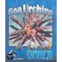 Sea Urchins