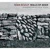 Sean Scully door Colm Tóibín