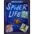 Spider Life
