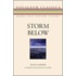 Storm Below