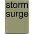 Storm Surge