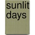 Sunlit Days