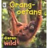 Orang-oetans by Patricia Kendell