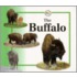 The Buffalo
