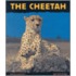 The Cheetah