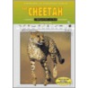 The Cheetah door Lisa Harkrader