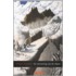 De verovering van de Alpen