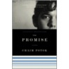 The Promise door Chaim Potok