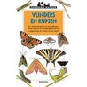 Vlinders en rupsen