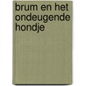 Brum en het ondeugende hondje