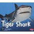 Tiger Shark
