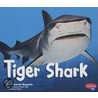 Tiger Shark by Deborah Nuzzolo