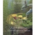 Zuid-Franse streekgerechten