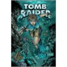 Tomb Raider by Andy Park