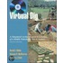 Virtual Dig