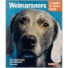 Weimeraners door Susan Fox