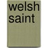 Welsh Saint