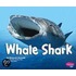 Whale Shark