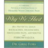 Why We Hurt by Greg Fors