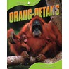 Orang Oettangs