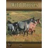 Wild Horses