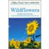 Wildflowers
