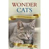 Wonder Cats by Ashley Morgan