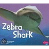 Zebra Shark by Deborah Nuzzolo