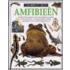 Ooggetuigen