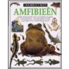Ooggetuigen