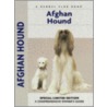 Afghan Hound by Phillip Bauer