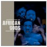African Gods door Tobie Nathan