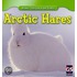 Arctic Hares