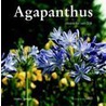 Agapanthus by Hanneke van Dijk