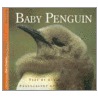 Baby Penguin door Wayne Lynch