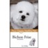 Bichon Frise