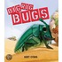 Big Rig Bugs