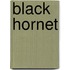 Black Hornet