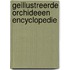 Geillustreerde orchideeen encyclopedie