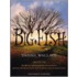 Big Fish