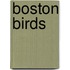 Boston Birds