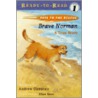 Brave Norman by Andrew Clements