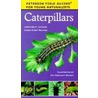 Caterpillars door Karen Stray Nolting
