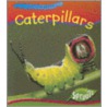Caterpillars door Sarah Chappelow