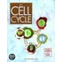 Cell Cycle P