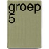 Groep 5 