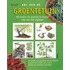 ABC van de groentetuin